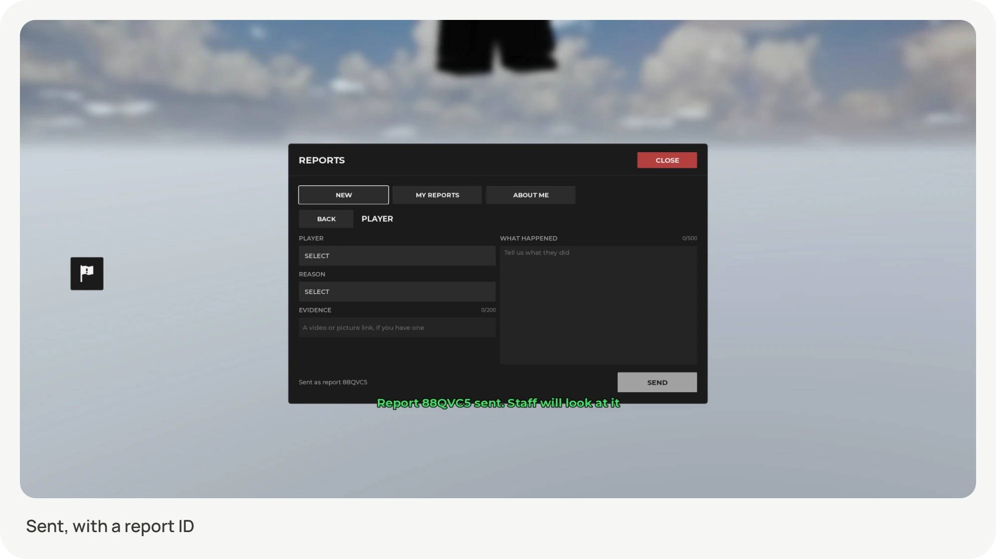 UXR Report System (7)
