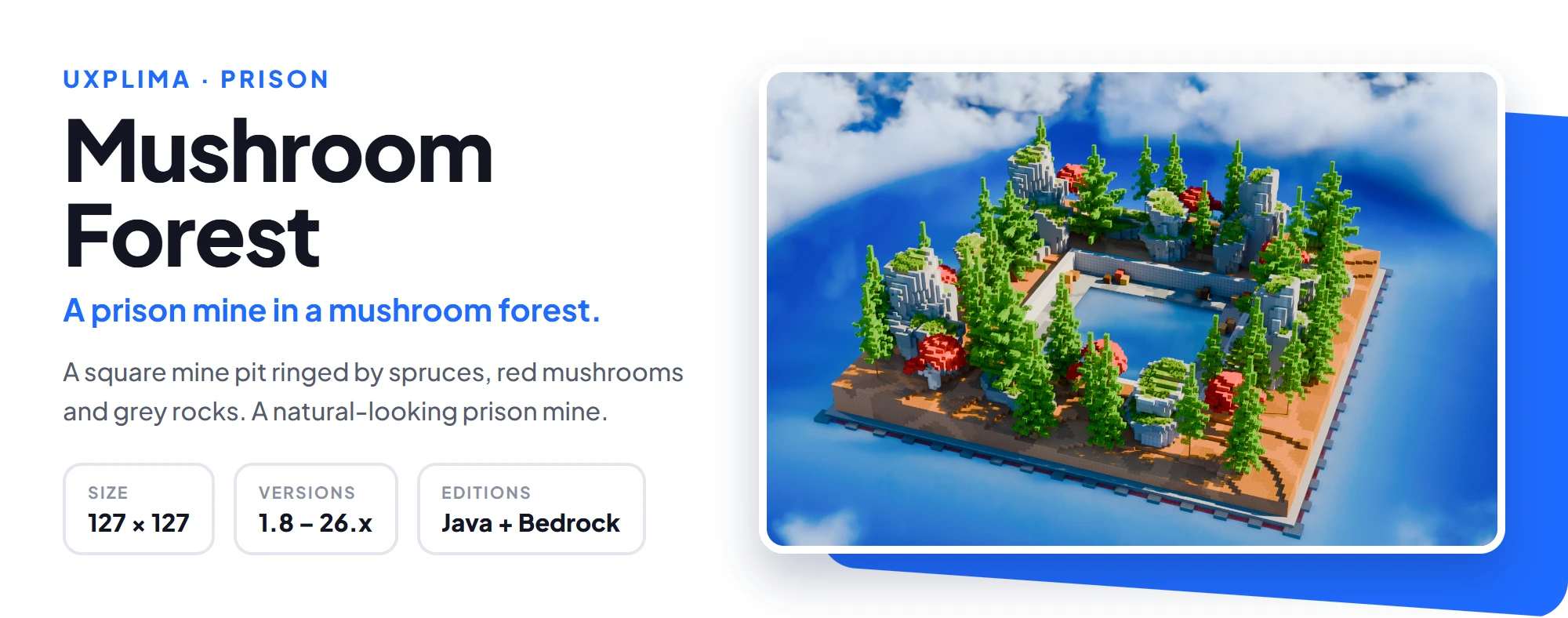 Mushroom Forest